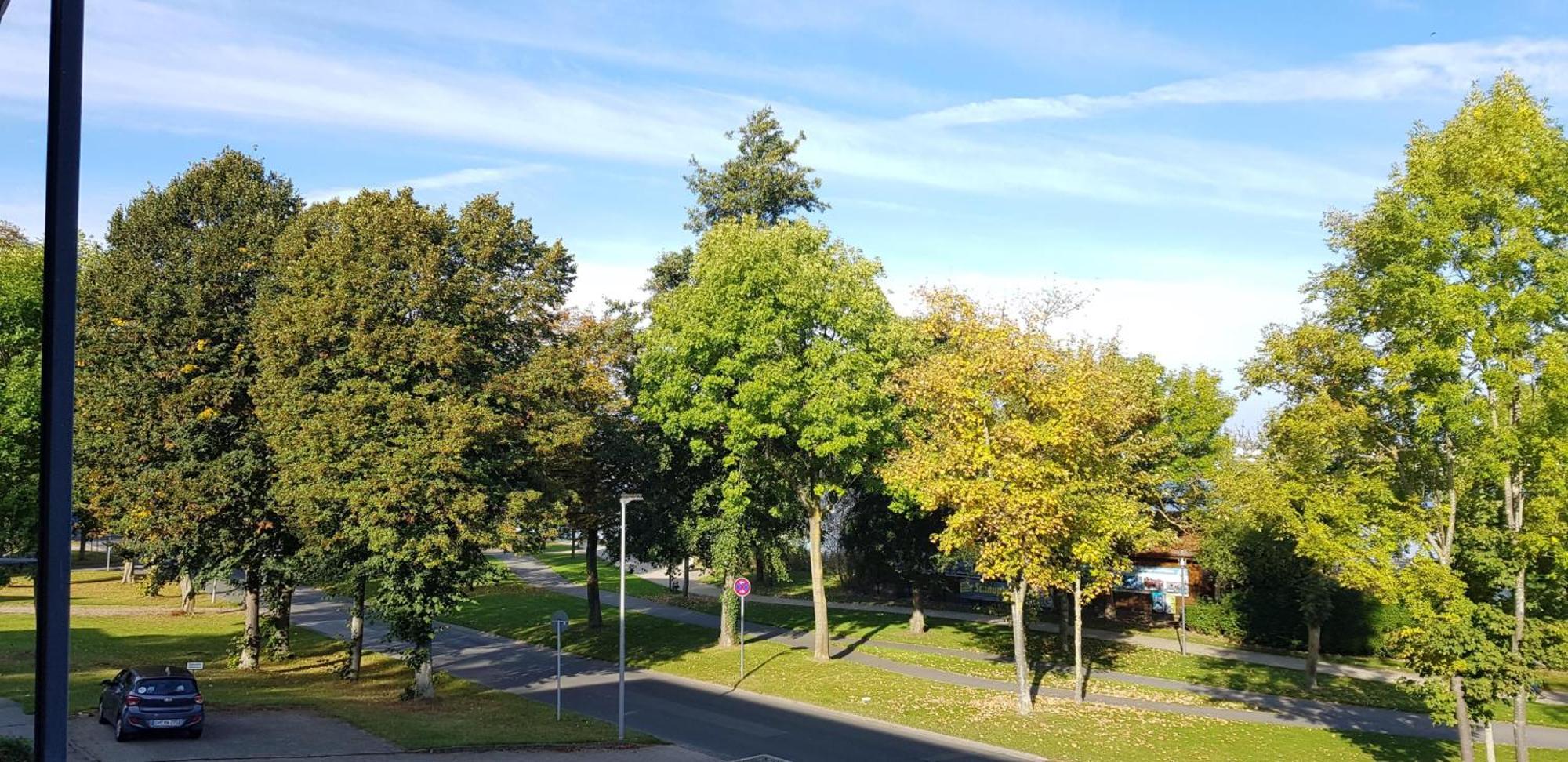 הייליגנהאפן Stadtdomizil Am Binnensee, Haus Bellevue מראה חיצוני תמונה